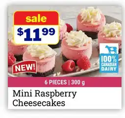 M & M Food Market Mini Raspberry Cheesecakes offer