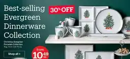Kitchen Stuff Plus Christmas Evergreen Porcelain Collection offer