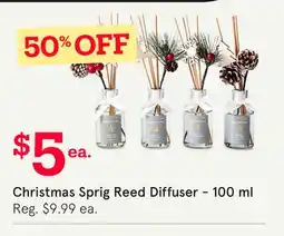 Kitchen Stuff Plus Christmas Sprig Reed Diffuser-100 ml offer
