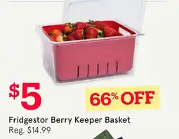 Kitchen Stuff Plus Fridgestor Berry Keeper Basket offer