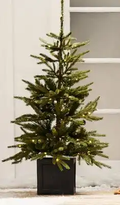 Walmart Set of 2 Fraîche porch trees offer