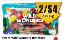 Starsky Sweet Wild Wonders Tomatoes offer