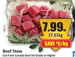 Starsky Beef Stew offer