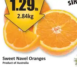 Starsky Sweet Navel Oranges offer