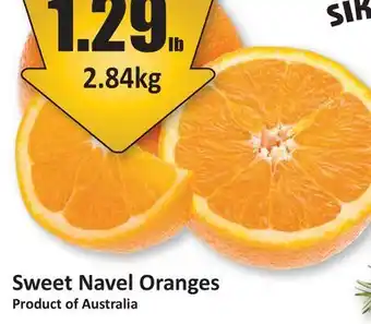 Starsky Sweet Navel Oranges offer