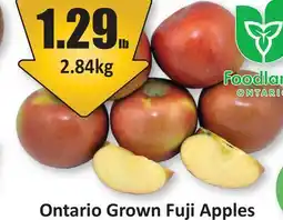 Starsky Ontario Grown Fuji Apples offer
