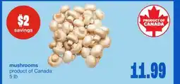 Wholesale Club Mushrooms offer