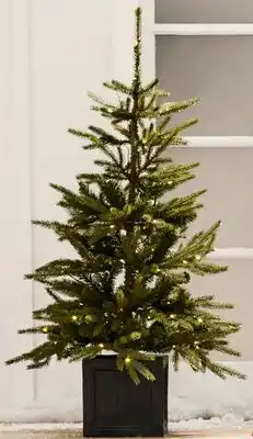 Walmart Ens. de 2 arbres en pot Fraîche offer