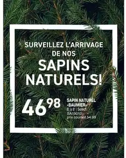 Matério SAPIN NATUREL BAUMIER offer