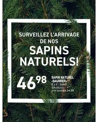 Matério SAPIN NATUREL BAUMIER offer