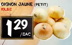 Marche Salaberry OIGNON JAUNE (PETIT) offer