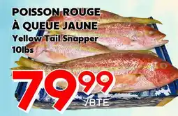 Marche Salaberry POISSON ROUGE À QUEUE JAUNE offer