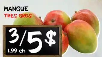 Marche Salaberry MANGUE offer