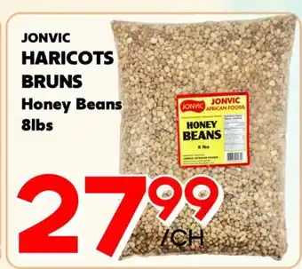 Marche Salaberry JONVIC HARICOTS BRUNS offer
