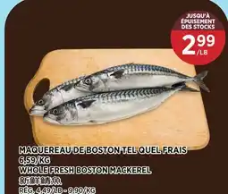 Kim Phat WHOLE FRESH BOSTON MACKEREL offer