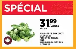 Kim Phat SHANGHAI BOK CHOY TIPS offer