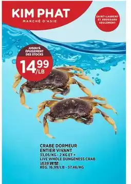 Kim Phat LIVE WHOLE DUNGENESS CRAB offer