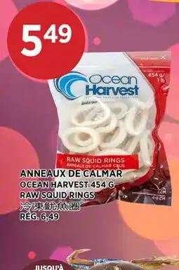 Kim Phat OCEAN HARVEST RAW SQUID RINGS offer