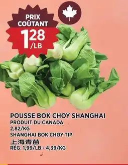 Kim Phat SHANGHAI BOK CHOY TIP offer