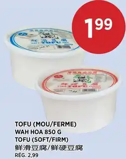 Kim Phat WAH HOA TOFU (SOFT/FIRM) offer