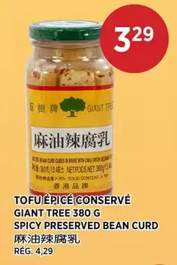 Kim Phat GIANT TREE SPICY PRESERVED BEAN CURD offer