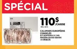 Kim Phat D.Y SEAFOOD FROZEN LOLIGO SQUIDS offer