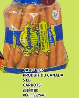 Kim Phat CARROTS offer