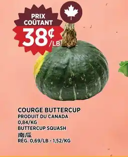 Kim Phat BUTTERCUP SQUASH offer