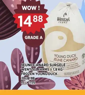 Kim Phat WENTZEL FARMS FROZEN YOUNG DUCK offer