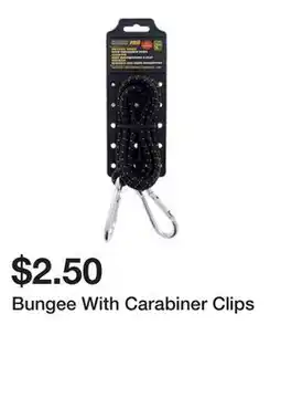 Dollarama Bungee With Carabiner Clips offer