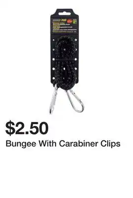 Dollarama Bungee With Carabiner Clips offer
