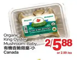 T&T Supermarket ORGANIC KING OYSTER MUSHROOM-BABY offer