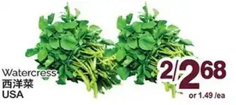 T&T Supermarket WATERCRESS offer
