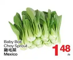 T&T Supermarket BABY BOK CHOY SPROUT offer