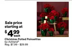 Michaels Christmas Potted Poinsettias by Ashland offer