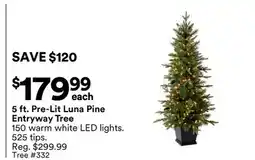 Michaels 5 ft. Pre-Lit Luna Pine entryway Tree offer