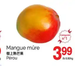T&T Supermarket MANGUE MÛRE offer