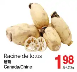 T&T Supermarket RACINE DE LOTUS offer
