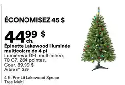 Michaels Épinette Lakewood illuminée multicolore de 4 pi offer