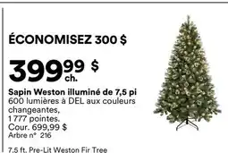 Michaels Sapin Weston illuminé de 7,5 pi offer