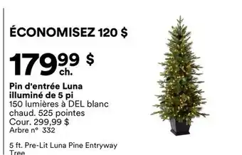 Michaels Pin d'entrée Luna illuminé de 5 pi offer