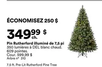 Michaels Pin Rutherford illuminé de 7,5 pi offer
