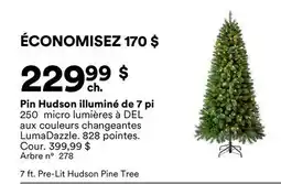 Michaels Pin Hudson illuminé de 7 pi offer