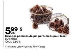 Michaels Grandes pommes de pin parfumées pour Noël d'Ashland offer