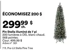 Michaels Pin Stella illuminé de 7 pi offer