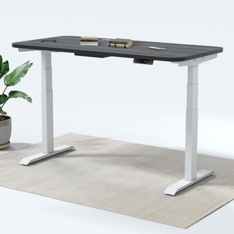 Best Buy MotionGrey Height Adjustable German Electric Dual Motors Sit to Stand Computer Home and Office Standing Desk - White Frame (1 offer