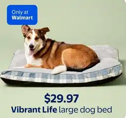 Walmart Vibrant Life large dog bed offer