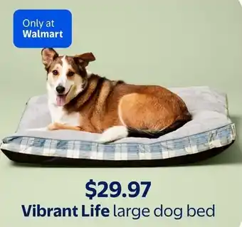 Walmart Vibrant Life large dog bed offer