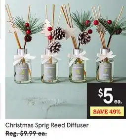 Kitchen Stuff Plus 4 PC. SET Christmas Sprig Reed Diffuser offer