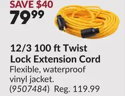Princess Auto 12/3 100 ftTwist Lock Extension Cord offer